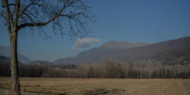 5 mesi di lavoro