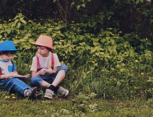 Più verde nelle nostre scuole