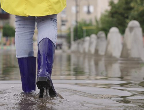 Disposizioni a sostegno delle popolazioni colpite da alluvione a maggio 2023
